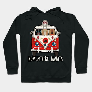 Afghan hound Adventure Awaits Artwork Camper Hoodie